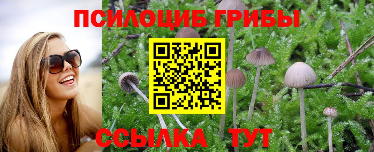 Галлюциногенные грибы MAGIC MUSHROOMS  что такое   Псилоцибиновые грибы ЛСД  Светлоград  Вход с VPN 